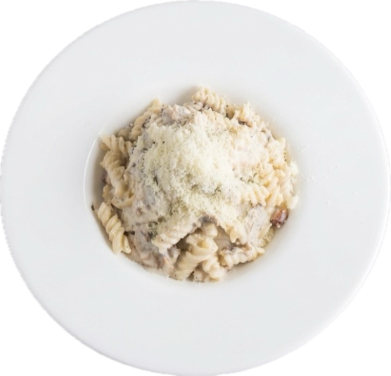 Pollo